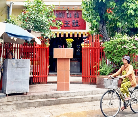 Những địa danh thân thương Sài Gòn - TP.HCM - Kỳ 8: Tên cỏ cây hoa lá Sài Gòn xưa vẫn mãi còn - Ảnh 2. sài gòn - Ảnh 2.