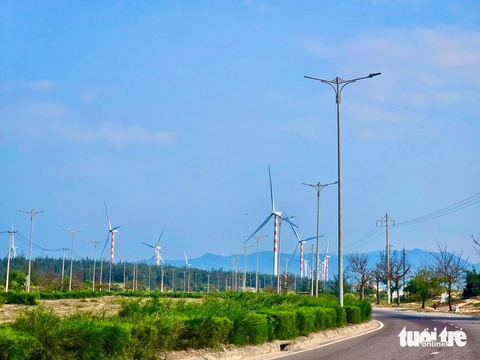 cánh đồng điện gió - Ảnh 2.
