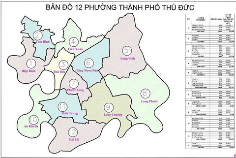 Thủ Đức - Ảnh 1.