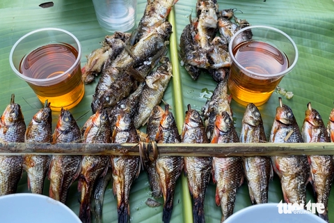 cá mát - Ảnh 1.
