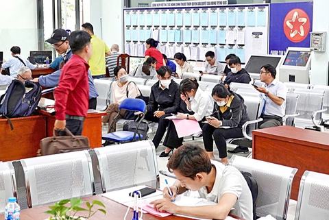 mã định danh - Ảnh 1.