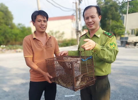 Thả cu li quý hiếm bắt được ở Thủ Đức cùng 23 động vật hoang dã về vườn quốc gia - Ảnh 4.