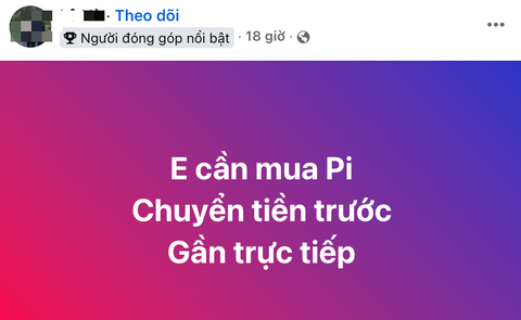 giá đồng Pi - Ảnh 3.