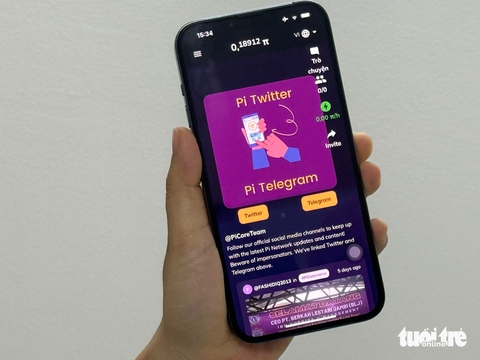 giá đồng Pi - Ảnh 1.