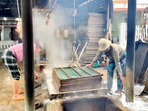 cá cơm - Ảnh 5.