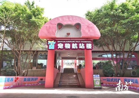 Trung Quốc có ga hàng không đầu tiên cho thú cưng tại Quảng Châu - Ảnh 1. thú cưng - Ảnh 1.