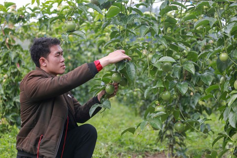 trung quốc - Ảnh 1.