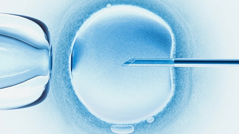 Em bé đầu tiên trên thế giới chào đời nhờ IVF tự động điều khiển từ xa - Ảnh 2.