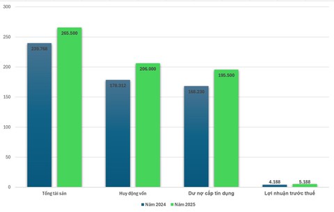 Thấy gì từ bức tranh tài chính của Eximbank? - Ảnh 3.