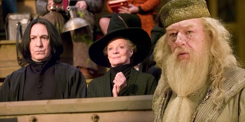 Harry Potter - Ảnh 1.