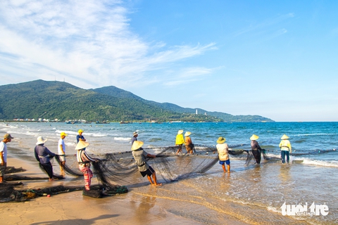 Ngư dân Đà Nẵng kéo lưới 'rùng', cá lên tươi rói khách tranh nhau mua tận tay - Ảnh 1.