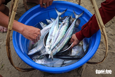Đà Nẵng - Ảnh 3.