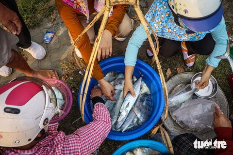 Ngư dân Đà Nẵng kéo lưới 'rùng', cá lên tươi rói khách tranh nhau mua tận tay - Ảnh 8.