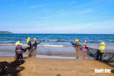 Ngư dân Đà Nẵng kéo lưới 'rùng', cá lên tươi rói khách tranh nhau mua tận tay - Ảnh 9.