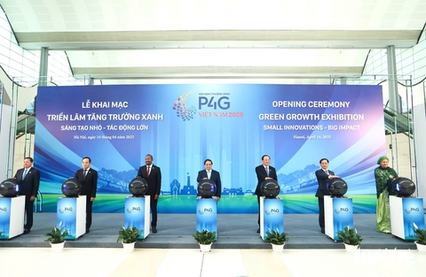 P4G - Ảnh 4.
