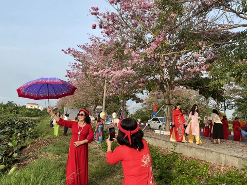 Châu Thành - Ảnh 1.
