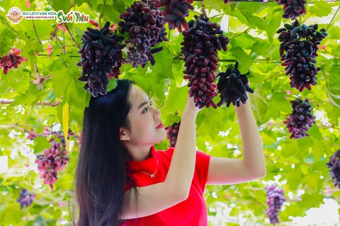 Suối Tiên - Ảnh 2.