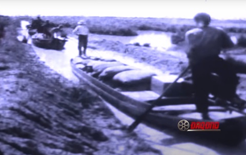 Cánh đồng hoang - Ảnh 1.