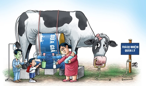 sữa giả - Ảnh 1.
