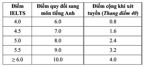 sơ tuyển - Ảnh 2.