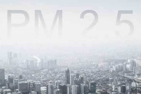 Tác hại của bụi mịn PM2.5 đến sức khỏe và cách bảo vệ - Ảnh 1.