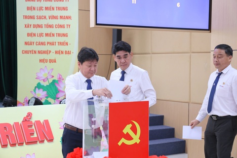 EVNCPC đạt và vượt 10/11 chỉ tiêu nhiệm vụ - Ảnh 2.