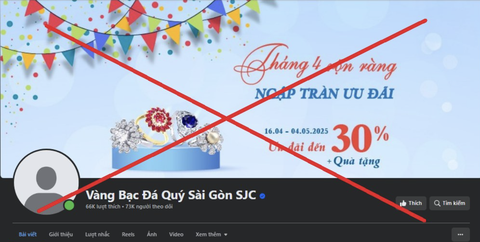 Công ty SJC - Ảnh 1.