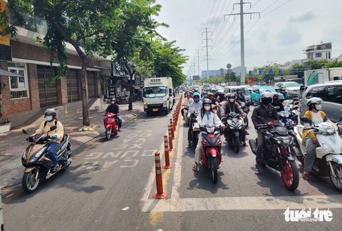 vạch mắt võng - Ảnh 3.