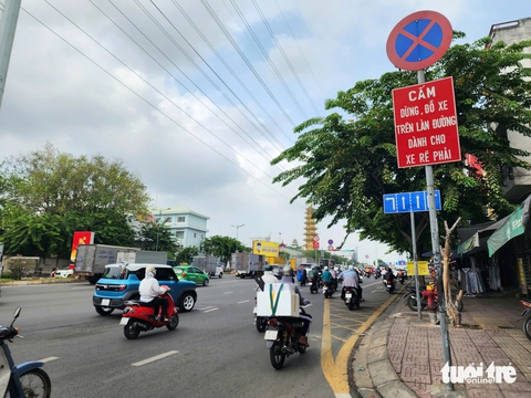 vạch mắt võng - Ảnh 5.