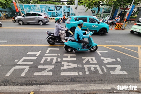 vạch mắt võng - Ảnh 6.