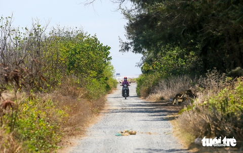 Cần Giờ - Ảnh 5.