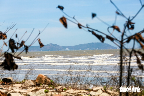 Cần Giờ - Ảnh 8.