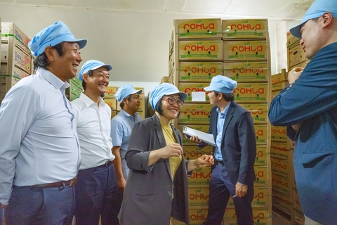 vườn chuối - Ảnh 7.