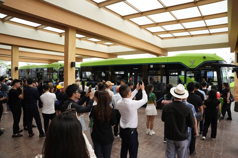 cát bà - Ảnh 1.