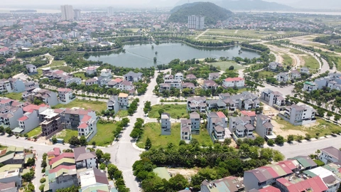 sắp xếp - Ảnh 1.