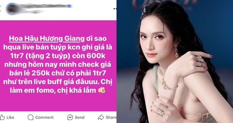 Hoa hậu Hương Giang bị tố lừa dối khách hàng; - Ảnh 2. Hương Giang bị tố lừa dối khách hàng; Tuấn Hưng mang Góc ban công vào TP.HCM - Ảnh 2.