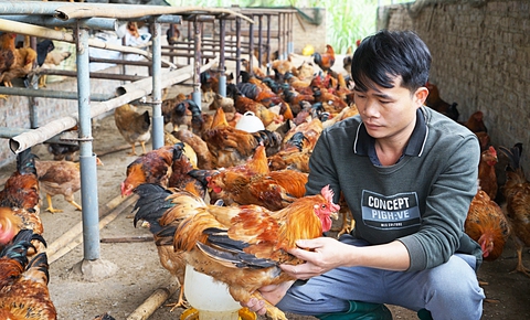 Người trẻ đồng lòng đánh thức nông thôn - Ảnh 1. thanh niên - Ảnh 1.