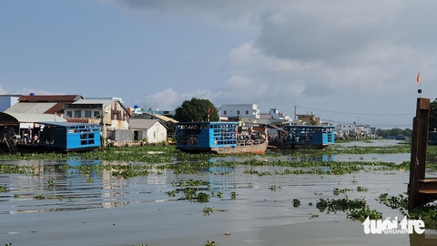 khởi công - Ảnh 17.