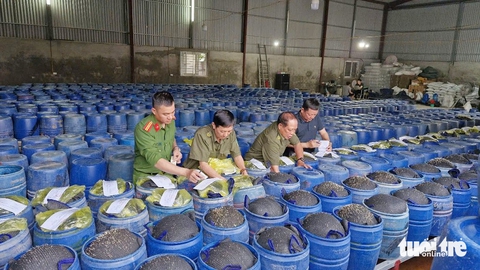 giá đỗ - Ảnh 2.