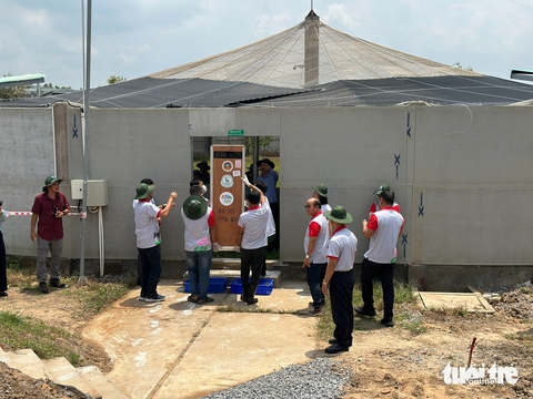 6 con sếu đầu đỏ đã về đến Tràm Chim - Ảnh 10. sếu đầu đỏ - Ảnh 10.