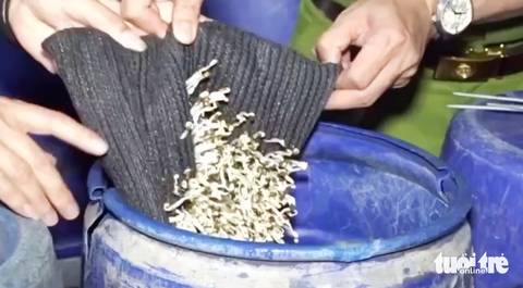 Bên trong xưởng sản xuất 3.500 tấn giá đỗ 'ngậm' hóa chất - Ảnh 4.