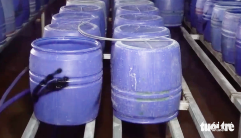 Bên trong xưởng sản xuất 3.500 tấn giá đỗ 'ngậm' hóa chất - Ảnh 5.