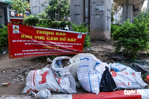 rác - Ảnh 7.