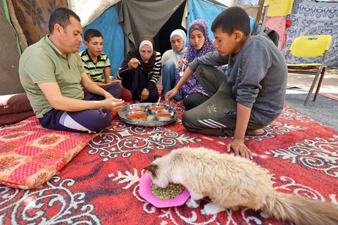 Dải Gaza - Ảnh 2.