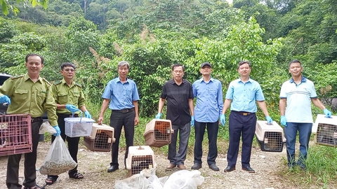 động vật hoang dã - Ảnh 1.