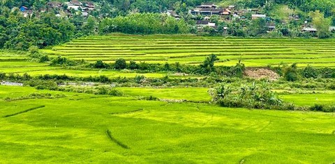 quảng ngãi - Ảnh 2.