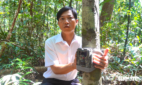 Phú Quốc - Ảnh 3.