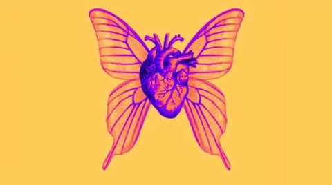 Quiz - Ảnh 1.
