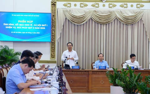 Chủ tịch Nguyễn Văn Được: 'TP.HCM đã bắt mạch định bệnh được rồi, vấn đề là dùng thuốc thế nào' - Ảnh 1.
