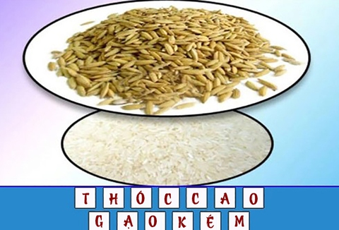 đuổi hình bắt chữ - Ảnh 2.